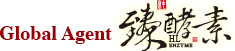 Global Agent